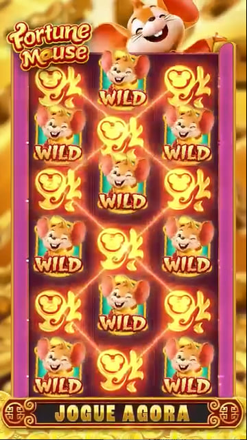 5Gringos