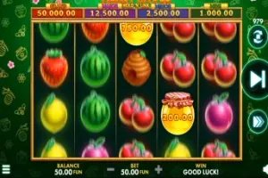 Spin pay registro